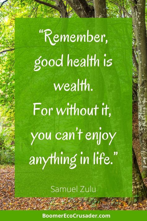 “Remember, good health is wealth. For without it, you can’t enjoy anything in life.” - Samuel Zulu Take Charge Of Your Health Quotes, Healthy Successful Lifestyle, Your Health Is Your Wealth Quote, Health And Fitness Images, Health Related Posters, Health Quotes Wellness Healthy, Health Pics, Healthy Lifestyle Vision Board, Health Quotes Wellness