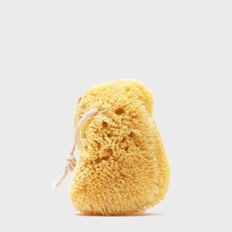 Pet Vitamins, Natural Sea Sponge, Shower Puff, Bath Sponges, Spray Sunscreen, Plastic Shower, Sea Sponge, Bamboo Toothbrush, Natural Bath