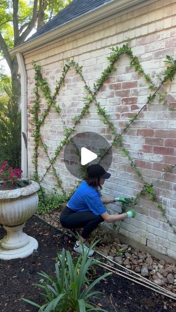 Shannon Searcy on Instagram: "I had to add a new baby Star Jasmine plant to this trellis wall because we lost the center plant in a previous freeze. I get lots of questions about these, so I figured I’d share some tips and tricks.   •It’s all about training if you want a tidy and beautiful trellis of any kind. These can look real messy if you don’t take the time to train them up the trellis.   •Do I trim these vines? NEVER! I’m lazy and I just let them do their thing, then I check on them every couple weeks and re-wrap the vines up the trellis in the direction they are growing.   •What zone am I and which way does my wall face? I only know the zone because I googled it, but I think it’s 9b? 🤷🏻‍♀️ And my 2 trellis walls both face west.   •These guys smell SO good when they bloom and the b Vegetable Garden Trellis Ideas, Star Jasmine Trellis, Star Jasmine Vine, Front Door Landscaping, Small Garden Inspiration, Garden Trellis Designs, Trellis Wall, Beach House Garden, Garden Trellis Ideas