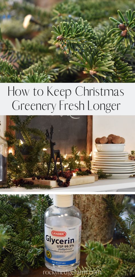 Decorating With Evergreens For Christmas, Christmas Greenery Arrangements Indoor, Fresh Greenery Christmas Decor Outside, Decorating With Fresh Greens Christmas, Diy Christmas Greenery Arrangements, Fresh Evergreen Decorations, Fresh Greens Christmas Decor, Winter Greenery Decor, Fresh Greenery Christmas Decor