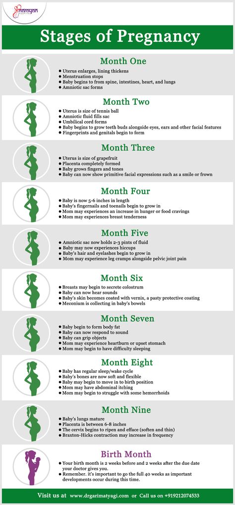 Stages of #pregnancy are divided into three trimesters. Here you'll learn about each one as we explain in detail all the exciting things happening to both you and your growing baby. #Gynae #Gynaecology #ChildBirth #Infertility Pregnant Information Tips, Pregnancy Things To Know, Baby Development Chart In Womb, Things To Know About Pregnancy, Baby Growth Chart In Womb, Pregnancy Knowledge Tips, Pregnancy Appointment Timeline, Stages Of Pregnancy Weekly, Baby Growth In Womb