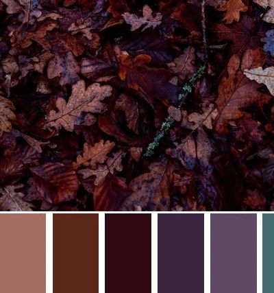 Dark Purple Bedroom Walls, Plum Color Palettes, Dark Purple Color Palette, Purple Bedroom Walls, Bronze Color Palette, Plum Color Palette, Maroon Color Palette, Purple Living Room Ideas, Purple Room Aesthetic