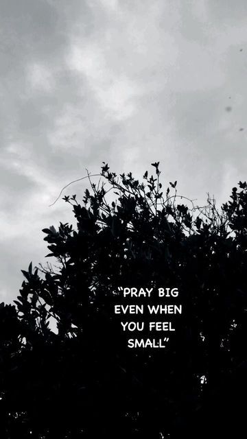 Pray Big Even When You Feel Small, Pray Big, Pray More, 2024 Vision, Portrait Photography, Vision Board, Nature Photography, Cd, How Are You Feeling