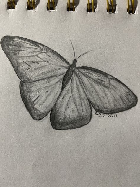 Butterflies Drawings Easy, Cute Butterfly Sketch, Two Butterflies Drawing, Sketch Ideas Butterfly, Butterfly Sketch Ideas, Butterfly Drawing Reference, Art Sketches Butterfly, Natural Forms Drawings, Butterfly Sketch Easy