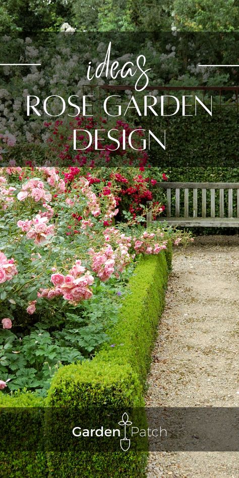 Landscape Roses Front Yards, Rose Garden Sitting Area, Modern Rose Garden Design, Roses And Boxwood Front Yards, Roses And Lavender Garden Front Yards, Rose Garden Plans Layout, Landscaping With Roses Front Yard, Small Rose Garden Design Backyard Ideas, Boxwoods And Roses Front Of House