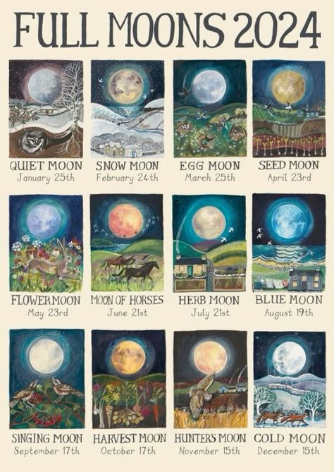 Full Moon Calendar, Cold Moon, Magia Das Ervas, Moon Journal, Witch Spirituality, Moon Calendar, Green Witch, Witchy Vibes, Moon Magic