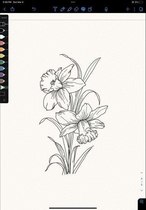 Daphodil Flower Drawing, Bunch Of Daffodils Tattoo, Daffodil Outline Drawing, Daffodil Tattoo Outline, Poppy And Narcissus Flower Tattoo, Tattoo Ideas Daffodil, Daffodil Botanical Illustration, Two Daffodils Tattoo, Daffodil Tattoo Stencil