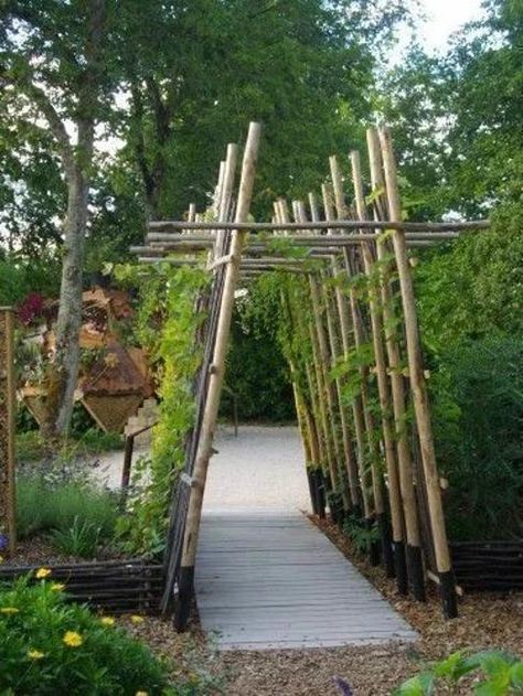 33 DIY Arbors, Trellises, Garden Obelisks for Climbing Plants, Creative Recycling for Yard Decorations Vegetable Garden Design, Garden Types, Diy Arbour, Taman Diy, Garden Obelisk, Desain Lanskap, Garden Arbor, Yard Decorations, Garden Trellis