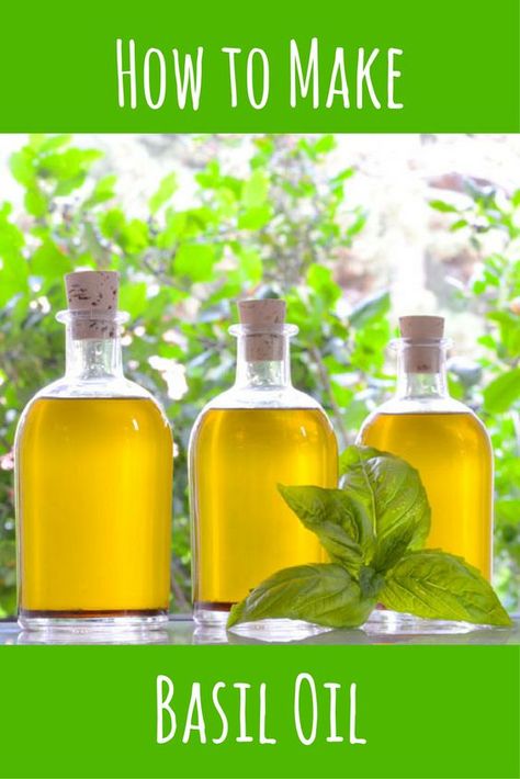 Holy Basil Benefits, Benefits Of Basil, Preserving Basil, Basil Health Benefits, Fresh Basil Recipes, Basil Olive Oil, Basil Essential Oil, Olive Oil Recipes, Basil Oil