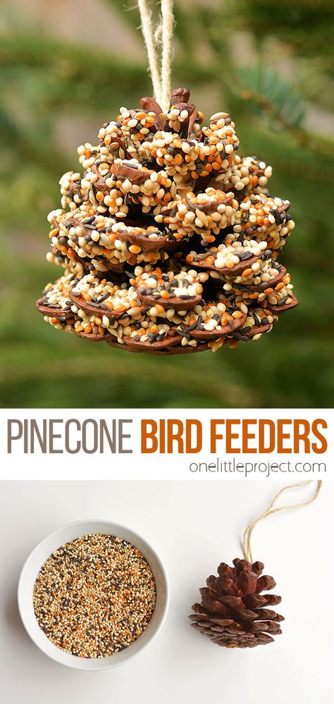 These pinecone bird feeders are SO PRETTY and they're so easy to make! With just a few simple supplies you can make one in less than 10 minutes! It's a great craft for kids, tweens, teens, adults, seniors and even in the classroom! It's so much fun to watch the birds it brings to the backyard! Sustainable Cooking, Daisy Activities, Pine Cone Bird Feeder, Bird Feeder Craft, Bird Seed Ornaments, Homemade Bird Feeders, Diy Bird Feeder, Diy Birds, Cones Crafts