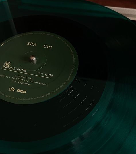 #vinyl #sza #ctrl Evergreen Color Aesthetic, Green Hogwarts Aesthetic, Dark Green Winter Aesthetic, Sza Ctrl Vinyl, Soft Slytherin Aesthetic, Ctrl Vinyl, Evergreen Aesthetic, Green Vinyl Record, Ipad Customization