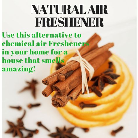 Natural Air Freshener Natural Air Freshener Diy, Diy Air Freshner, Candles In A Jar, Diy Cinnamon, Simmer Pot Recipes, Simmer Pot, Diy Air Freshener, House Smell Good, Home Air Fresheners