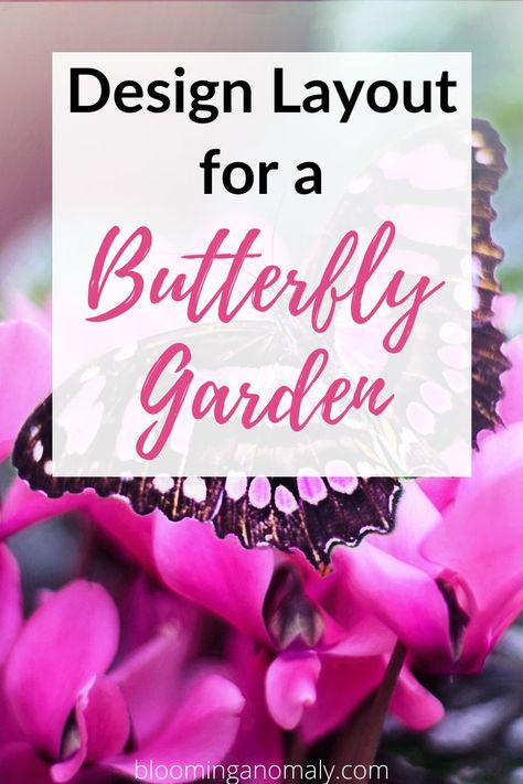 Butterfly Garden Layout, Pollinator Habitat, Flowers For Butterflies, Garden 101, Pollinator Garden Design, Flowers That Attract Butterflies, Monarch Butterfly Garden, Butterfly Garden Plants, Garden Planning Layout