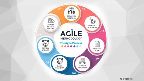 Understanding Agile Methodology - An in Depth Look Agile Methodology, Agile Process, Software Development Life Cycle, Strategy Meeting, Agile Software Development, Agile Project Management, Agile Development, Core Beliefs, Daily Plan