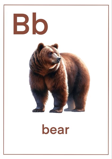 Dive into learning with this FREE homeschool printable! Perfect for young learners, this beautifully crafted aquarelle bear flashcard brings fun to education. Enhance letter recognition with the ‘B is for Bear’ design, ideal for nature and animal studies. Letter B Flashcards, B Is For Bear, Animal Activities For Kids, Animal Studies, Animal Study, Animal Activities, Bear Pictures, Free Homeschool, Letter Recognition