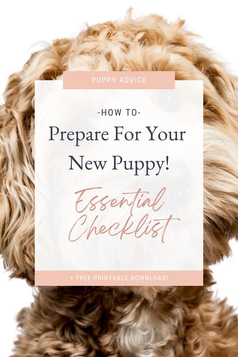 New Dog Must Haves, New Puppy Essentials List, Bringing Puppy Home, New Puppy Shopping List, Dog Starter Kit List, Bringing A Puppy Home, Must Have Puppy Essentials, Puppy List New, First Time Puppy Owner Checklist