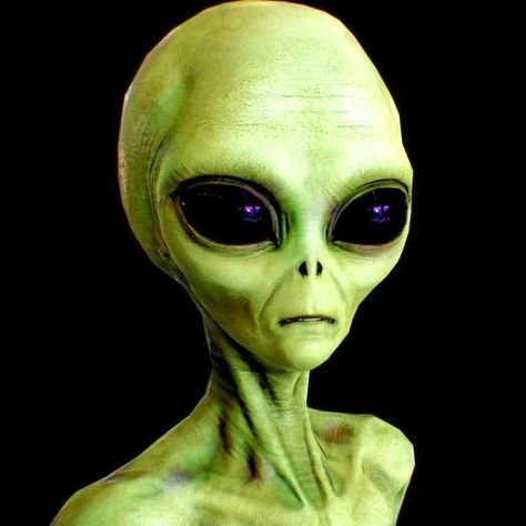 They are here. . They are here to get you. . We are not alone. Aliens Aesthetic, Realistic Alien, Alien Pictures, Alien Photos, Ufo Art, Alien Artwork, Alien Encounters, Alien Drawings, Alien Face