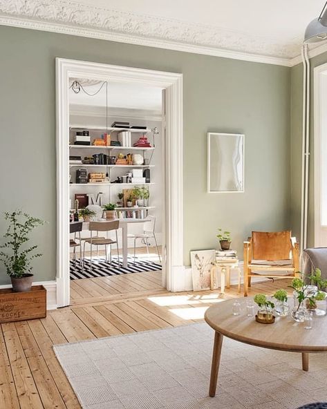 2018 New Neutral Pinterest Trend: Sage Green | Apartment Therapy Color Combo For House Interior, Kitchen Living Room Wall Color, Sage Green Room Paint, Sage Color Wall, Sage Color Living Room Ideas, Sage Green Wall Color Living Room, Sage Green Interior Walls, Neutral Sage Green Paint, Women’s Office Paint Color