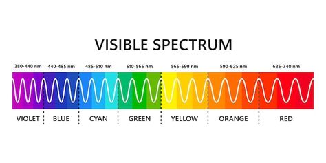 Wavelengths Of Light, Color Spectrum Wheel, Light Wavelength, Painting Exercises, Eye Vector, Business Card Icons, Visible Light Spectrum, Dispersion Of Light, Colour Spectrum