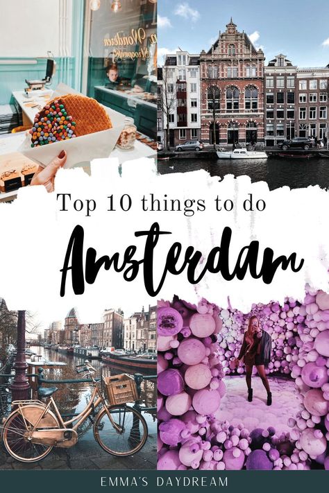 Amigurumi Patterns, Things To Do In Amsterdam, To Do In Amsterdam, Animal Experiences, Netherlands Travel, Amsterdam Travel, Cities In Europe, European Destinations, Meeting New Friends