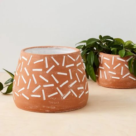 Diy Planters Indoor, Unique Centerpieces, Terracotta Planter, Glass Terrarium, Diy Planters, Clay Pot, Painted Pots, Hand Shapes, Ceramic Planters