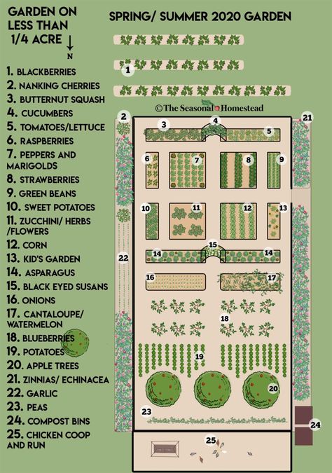 Garden Planning Layout, Backyard Garden Layout, Farm Layout, Backyard Plan, Garden Layout Vegetable, Homestead Gardens, Garden Plan, Garden Design Layout, Garden Design Plans