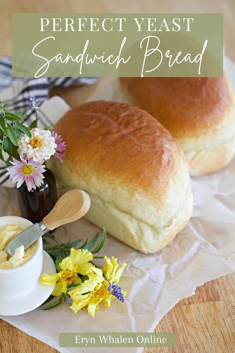 Sandwich Bread Recipe Instant Yeast, Unbleached Flour Bread Recipes, Soft Sandwich Rolls, Simple Sandwich Bread Recipe, Easy Homemade Sandwich Bread, Yeast Sandwich Bread, Soft Sandwich Bread Recipe, Easy Bread Recipes For Beginners, Sandwhich Bread