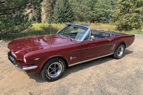 For Sale: 1966 Ford Mustang Convertible (Vintage Burgundy, 289ci V8, 4-speed) 1966 Ford Mustang Convertible, Mustang 1966, Red Mustang, Black Convertible, Hurst Shifter, Filmy Vintage, Kombi Home, R34 Gtr, Old Vintage Cars