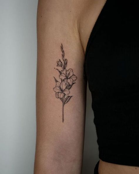 Gladiolus Flower Back Tattoo, Gladiolus Tattoo Line Art, Aster And Gladiolus Flower Tattoo, Gladius Tattoo Flower, Gladiolus And Aster Tattoo, Gladiolus And Daffodil Tattoo, Gladiolus Tattoo With Name, Rose And Gladiolus Tattoo, Flowers Blooming Tattoo