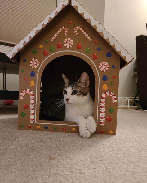 Gingerbread Cat House, Cat Box Ideas, Cats House Ideas, Christmas Cat House, Cute Cat Crafts, Cat Christmas Gifts, Gingerbread Cat, Creative Christmas Crafts, Cardboard Cat House