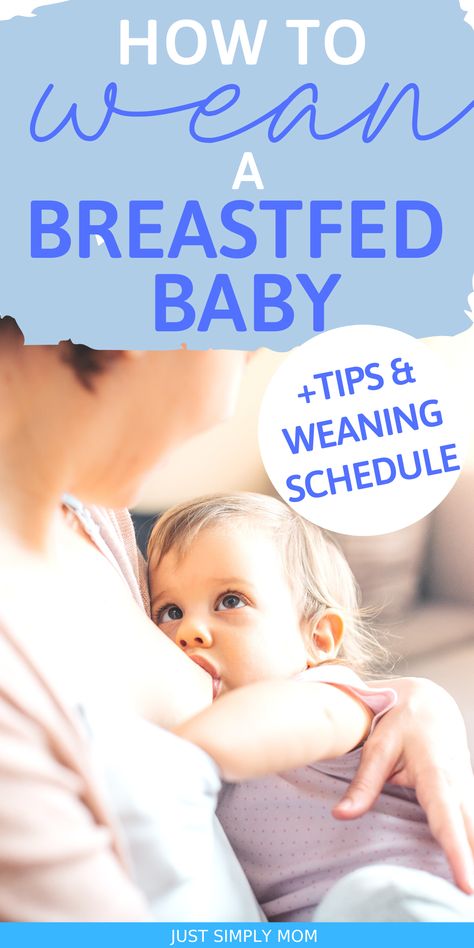 Weaning Breastfeeding, Stopping Breastfeeding, Crunchy Moms, Organic Baby Food, Baby Weaning, Breastfed Baby, Natural Parenting, Breastfeeding And Pumping, Breastfeeding Tips