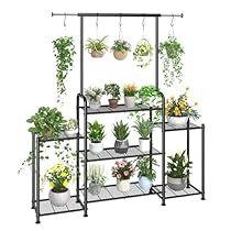 Indoor Plant Shelves, Child Activities, Tattoo Plant, Iron Plant Stand, Corner Plant, Window Plants, Support Pour Plante, Plant Stands Outdoor, Support Plante