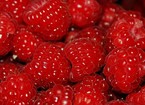 Raspberries Aesthetic, Popsicle Aesthetic, Soft Red Aesthetic, Raspberry Aesthetic, Berry Delight, Rotten Fruit, Fairy Food, Fruit Picture, Cream Aesthetic