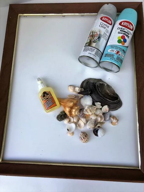 How To Frame Seashells, Preserving Seashells, What To Do With Sea Shells From Vacation, What To Do With Seashells From Vacation, Display Seashells Ideas, What To Do With Shells From The Beach, How To Display Sea Shells, Things To Do With Shells From The Beach, Seashell Display Ideas