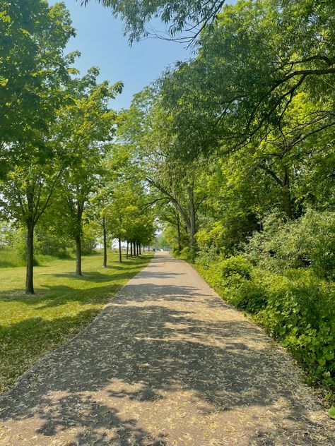 summer • forest • trail • summertime • walk • hiking • nature • greenery Nature Trail Aesthetic, Walking Trail Aesthetic, Trail Aesthetic, Walking Aesthetic, Summer Walks, Summer Forest, Nature Trails, Hiking Nature, Instagram Graphics