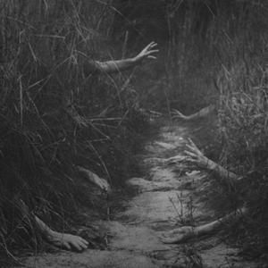 Creepy Photos, Creepy Images, The Dark Side, Dark Photography, The Grass, Creepers, Dracula, In The Woods, Dark Side