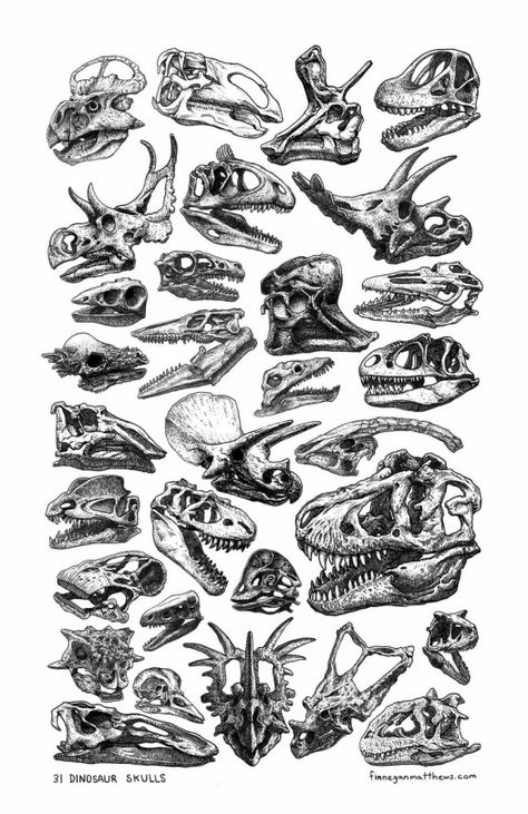 Calaveras Scientific Drawing, Skulls And Bones, Dinosaur Tattoos, Paleo Art, Symbol Tattoos, Dinosaur Art, Scientific Illustration, Wallpaper Vintage, Prehistoric Animals