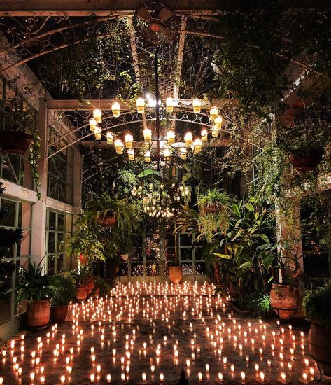 BELDI Country Club - Marrakech on Instagram: “1001 nights party 🔥 @beldicountryclub X @cocoonevents  #beldicountryclub @bybeldi #bybeldi #bohemianchic #boutiquehotel #greenhouse #hotel…” 1001 Nights Party, Marrakech Wedding, Moroccan Nights, 1001 Nights, Charity Event, Country Club Wedding, Bohemian Chic, Party Night, My Dream Home