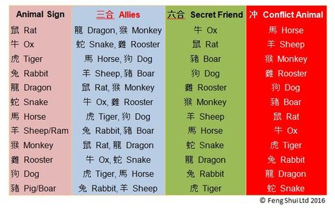 Chinese astrology trines, secret friends, enemy signs Chinese Astrology Chart, Chinese Astrology Signs, Astrology Study, Astrology Tumblr, Chinese Animals, Feng Shui Animals, Astro City, Pig Zodiac, Chinese Zodiac Rat