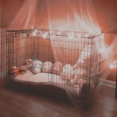 Dog In Room Aesthetic, Pet Play Dog Cage, Puppy Space Aesthetic, Puppy Space Ideas, Dog Cage Aesthetic, Cozy Dog Crate, Bunny Regression, Puppy Play Aesthetic, Pet Regressor Puppy