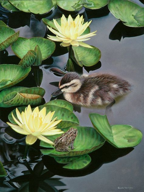 Lily Pad Underwater, Watercolor Lily Pads Ponds, Lily Pads Photography, Pond With Lily Pads Painting, Water Lily Pond Monet, Lotus Flower Pictures, Lily Garden, Water Lily Pond, Pond Life