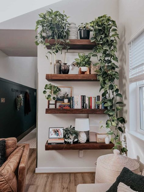 DIY Floating Shelves Minimalist Decor With Plants, Picture Plant Wall, Plant Wall Indoor Shelves, Shelf Organization Ideas Living Room, Greenery Shelf Decor, Boho Shelving Decor, Dinning Room Wall Shelf Decor, Kitchen Plant Shelf Decorating Ideas, Greenery In Living Room Decor