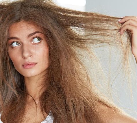 Dry Dull Hair, Reduce Hair Growth, Caring For Frizzy Hair, Upper Lip Hair, Hair Facts, Madison Reed, Hair Photography, Dull Hair, Lip Hair