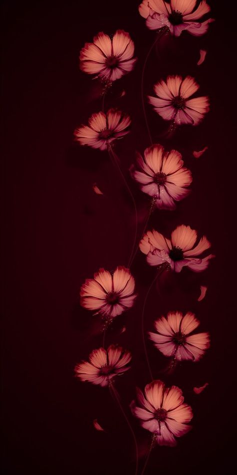 Maroon Flowers Wallpaper, Red Glass Wallpaper, Black With Color Wallpaper, Gothic Spring Wallpaper, Wet Flowers Wallpaper, Neon Flowers Wallpaper, Wallpaper Backgrounds Dark Beautiful, Iphone Wallpapers Aesthetic, Wallpapers Lock Screen