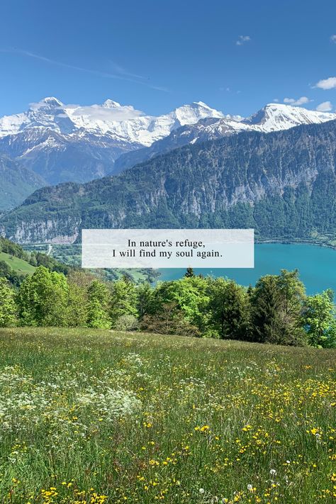 Quote: Ease Into Your Goals LLC ||||| Photo: View of Lake Thun from Beatenberg, Interlaken, Switzerland [ #quotes #sayings #words #diary #poetry #micropoetry #nature #soul #travel #adventure #peace #serenity #Godsbeauty #selfreflection #growth #escape #refuge #safety #release #stressrelief ] Escape To Nature Quote, Nature Escape Quotes, Escape Quotes Travel, Mountain View Quotes, Switzerland Quote, Yellowstone National Park Camping, Hiking Quotes Adventure, Lake Captions, Lake Quotes