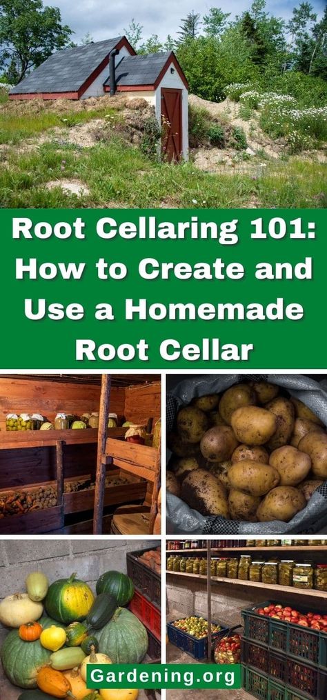 Root Cellaring 101: How to Create and Use a Root Cellar Backyard Root Cellar, Straw Bale Root Cellar, Hobbit Root Cellar, Storage Container Root Cellar, Build Root Cellar, Root Cellar Storage Shelves, How To Build A Root Celler, Homestead Root Cellar, Mini Root Cellar Ideas