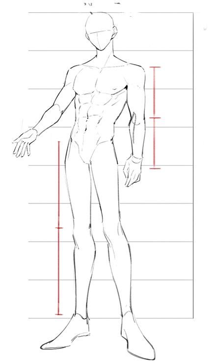 Incredible Drawings, Male Body Drawing, Male Art Reference, Body Type Drawing, Human Body Drawing, Anatomy Tutorial, Body Drawing Tutorial, Human Anatomy Drawing, Body Sketches