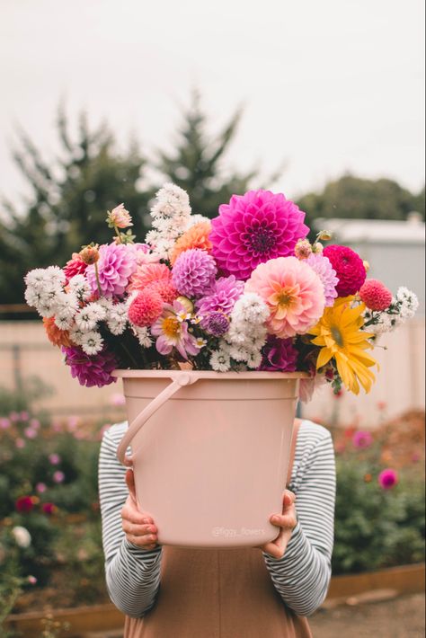 Farmer Market Photoshoot, Flower Farm Branding Photoshoot, Flower Farm Photography, Floral Branding Shoot, Flower Farm Photoshoot Family, Flower Farm Photoshoot Ideas, Flower Farm Branding, Florist Pictures, Florist Branding Photoshoot