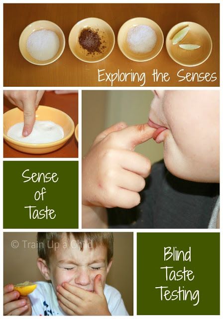 A simple game to explore the sense of taste - exploring sweet, bitter, salty and sour. My 5 Senses, 5 Senses Preschool, Ece Activities, Thema Fruit, Five Senses Preschool, 5 Senses Activities, Fun Kids Activities, Senses Preschool, My Five Senses