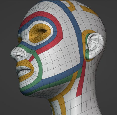 Human retopology (advice welcome) - Artwork / Works in Progress - Blender Artists Community Lowpoly Character, Face Topology, Human Model, Human Character, Body Part Drawing, Face Angles, Anatomy Sculpture, Animation Reference, Artist Community